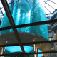 Illustration for article titled Aquadom Is Largest Cylindrical Aquarium on the Planet